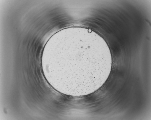 X0000103961483200810171850