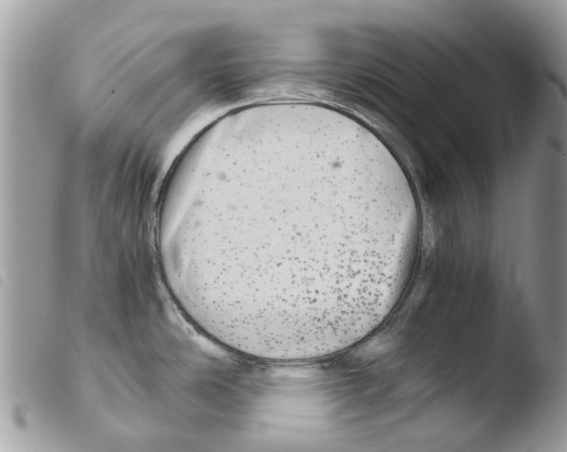 X0000103961486200810171850