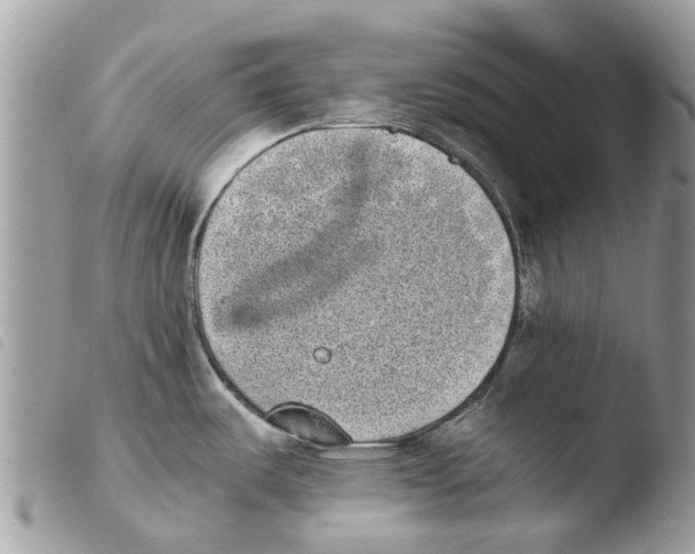 X0000103961487200810171850