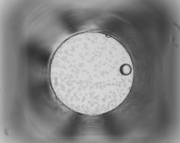 X0000103961488200810171850