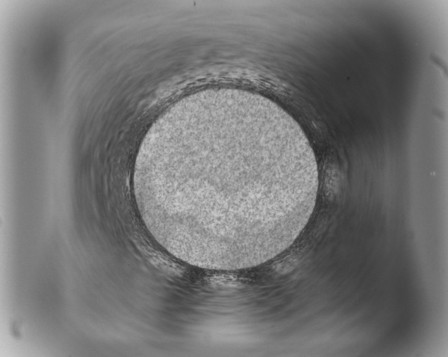 X0000103961489200810171850