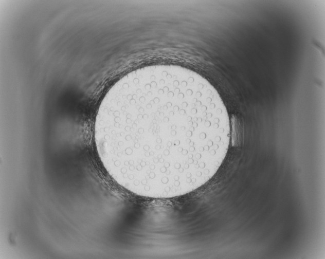 X0000103961491200810171850