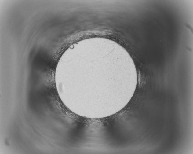 X0000103961492200810171850