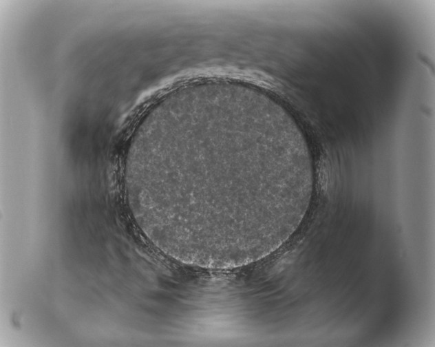 X0000103961494200810171850