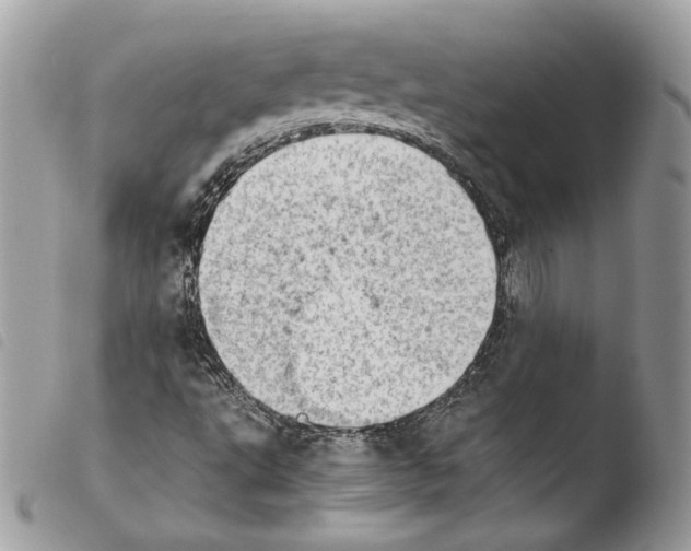 X0000103961495200810171850