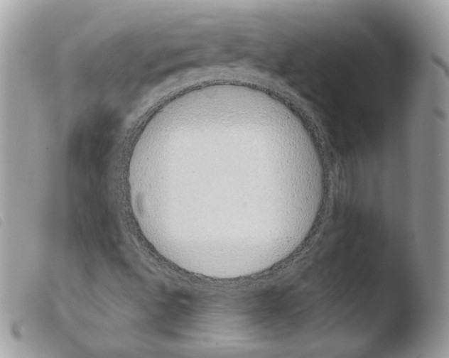 X0000103961496200810171850