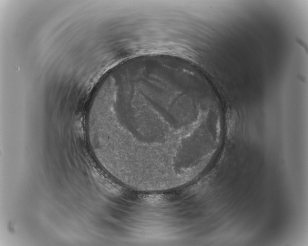 X0000103961497200810171850