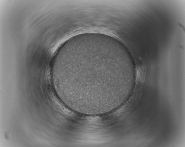 X0000103961498200810171850