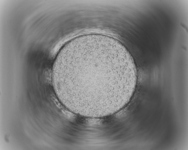 X0000103961499200810171850