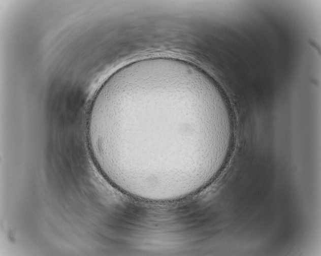 X0000103961500200810171850