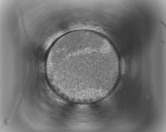 X0000103961501200810171850