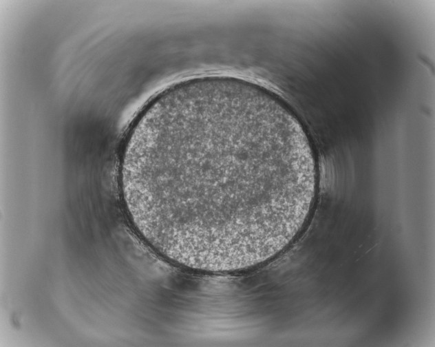 X0000103961502200810171850