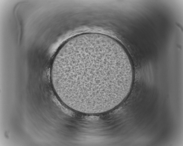 X0000103961503200810171850