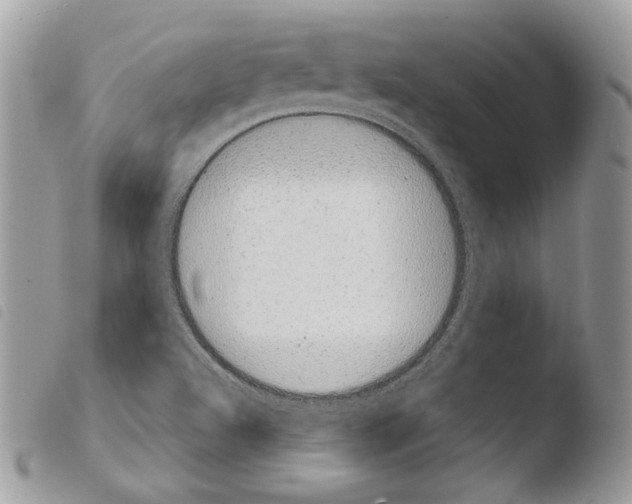 X0000103961504200810171850