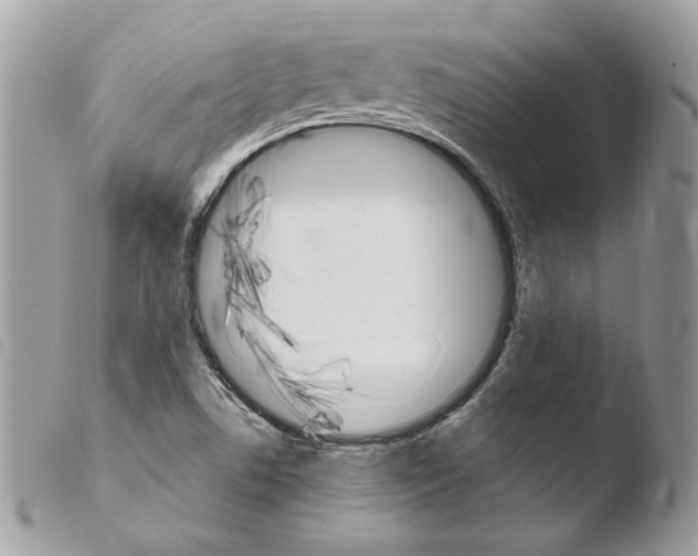 X0000103961506200810171850