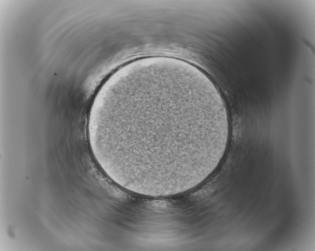 X0000103961507200810171850