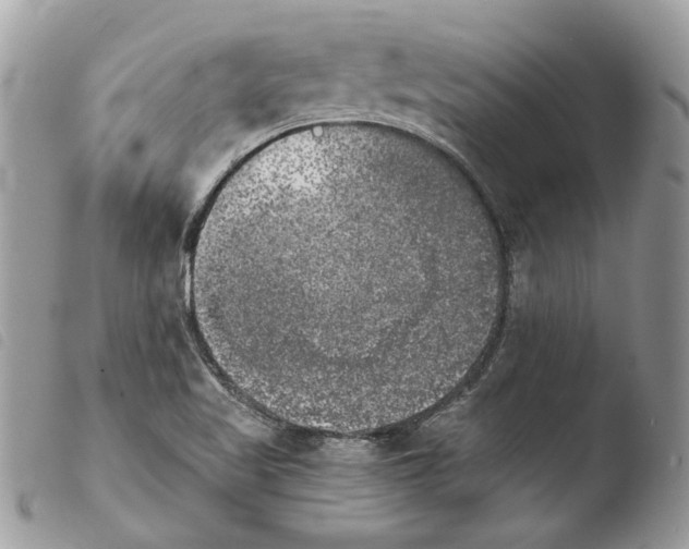 X0000103961509200810171850