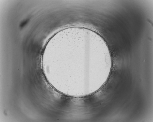 X0000103961510200810171850