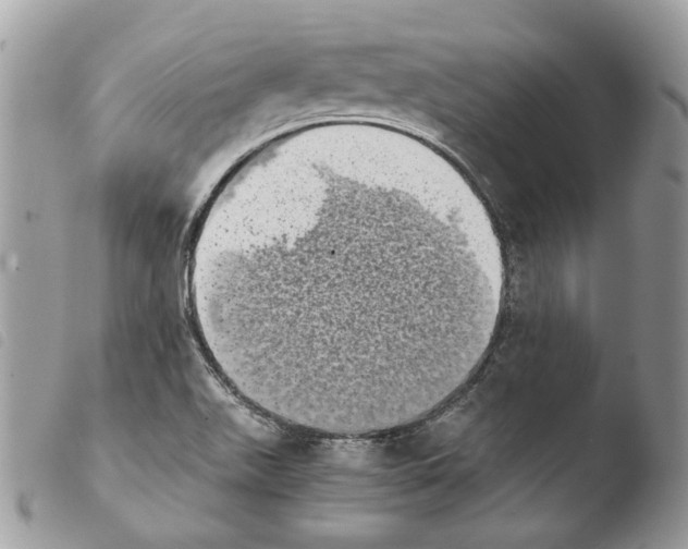 X0000103961511200810171850