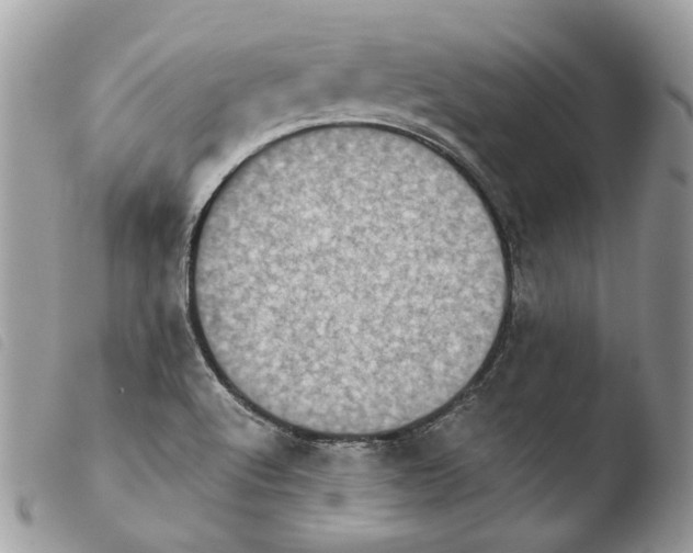 X0000103961512200810171850