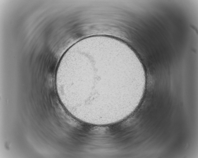 X0000103961513200810171850