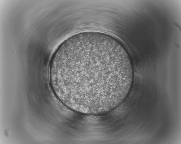 X0000103961514200810171850