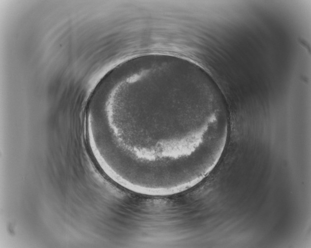 X0000103961515200810171850