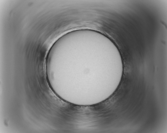 X0000103961516200810171850