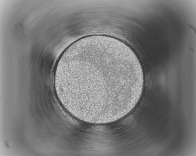 X0000103961517200810171850