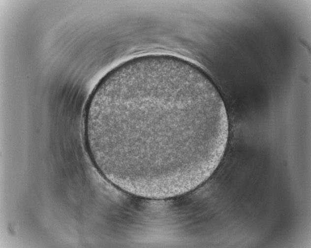 X0000103961518200810171850