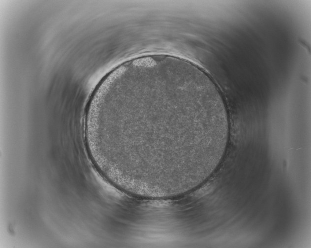 X0000103961519200810171850