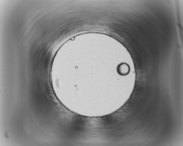 X0000103961520200810171850