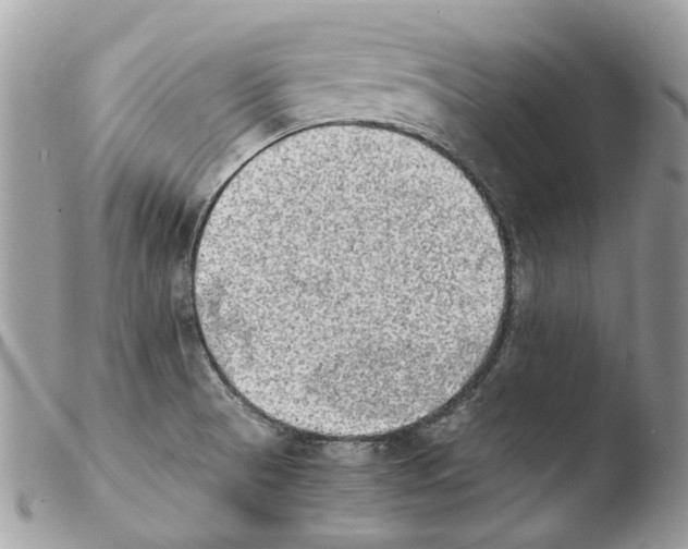 X0000103961521200810171850