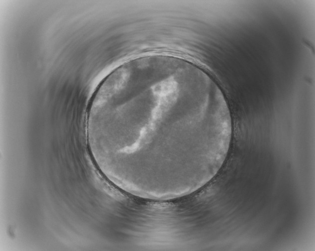 X0000103961522200810171850