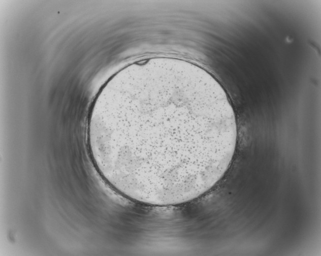 X0000103961523200810171850