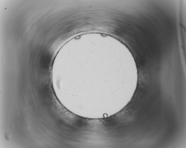 X0000103961524200810171850