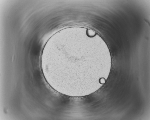 X0000103961528200810171850