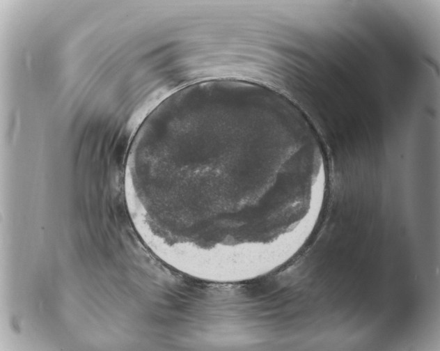 X0000103961529200810171850