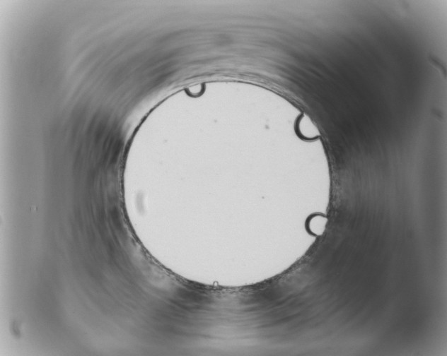 X0000103961530200810171850