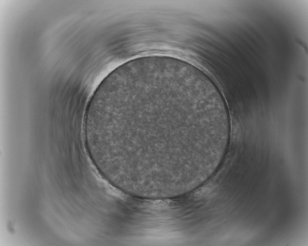 X0000103961533200810171850