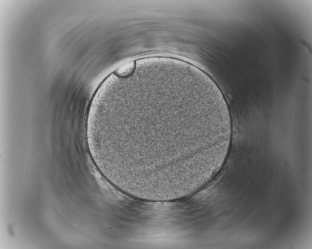 X0000103961534200810171850