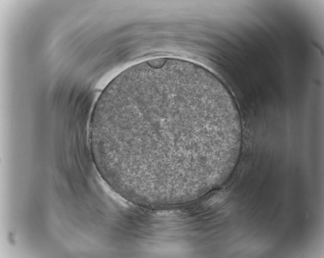 X0000103961535200810171850