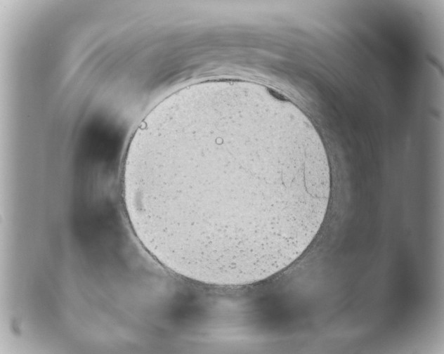 X0000103961536200810171850