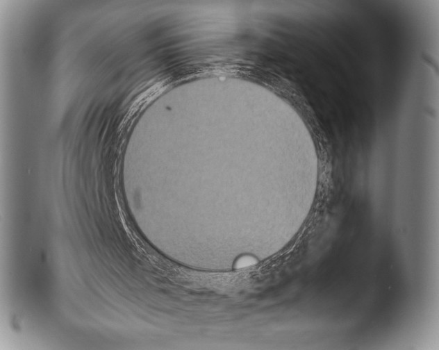 X0000103960001200810311625