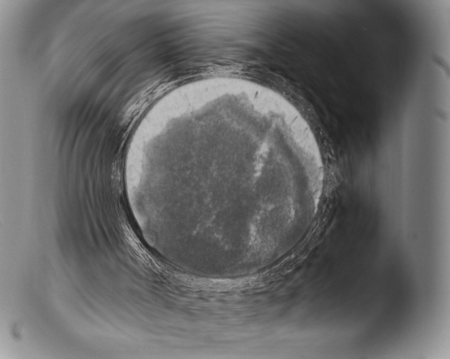 X0000103960002200810311625