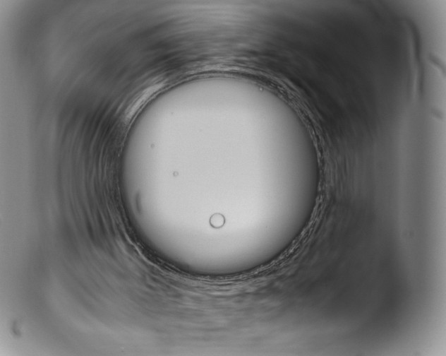 X0000103960003200810311625
