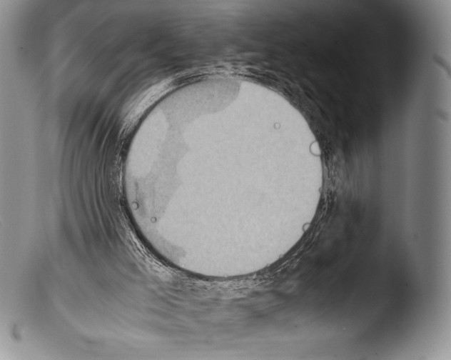 X0000103960005200810311625