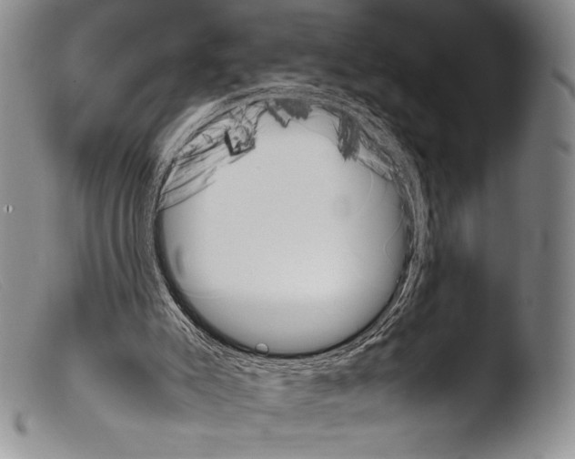 X0000103960007200810311625