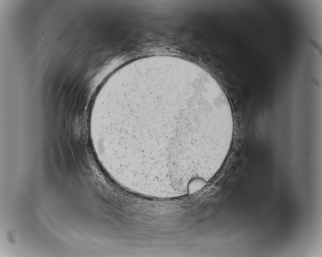 X0000103960008200810311625
