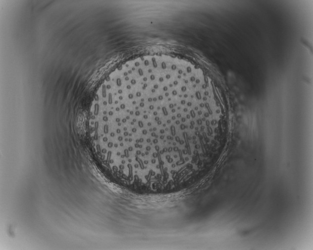 X0000103960009200810311625